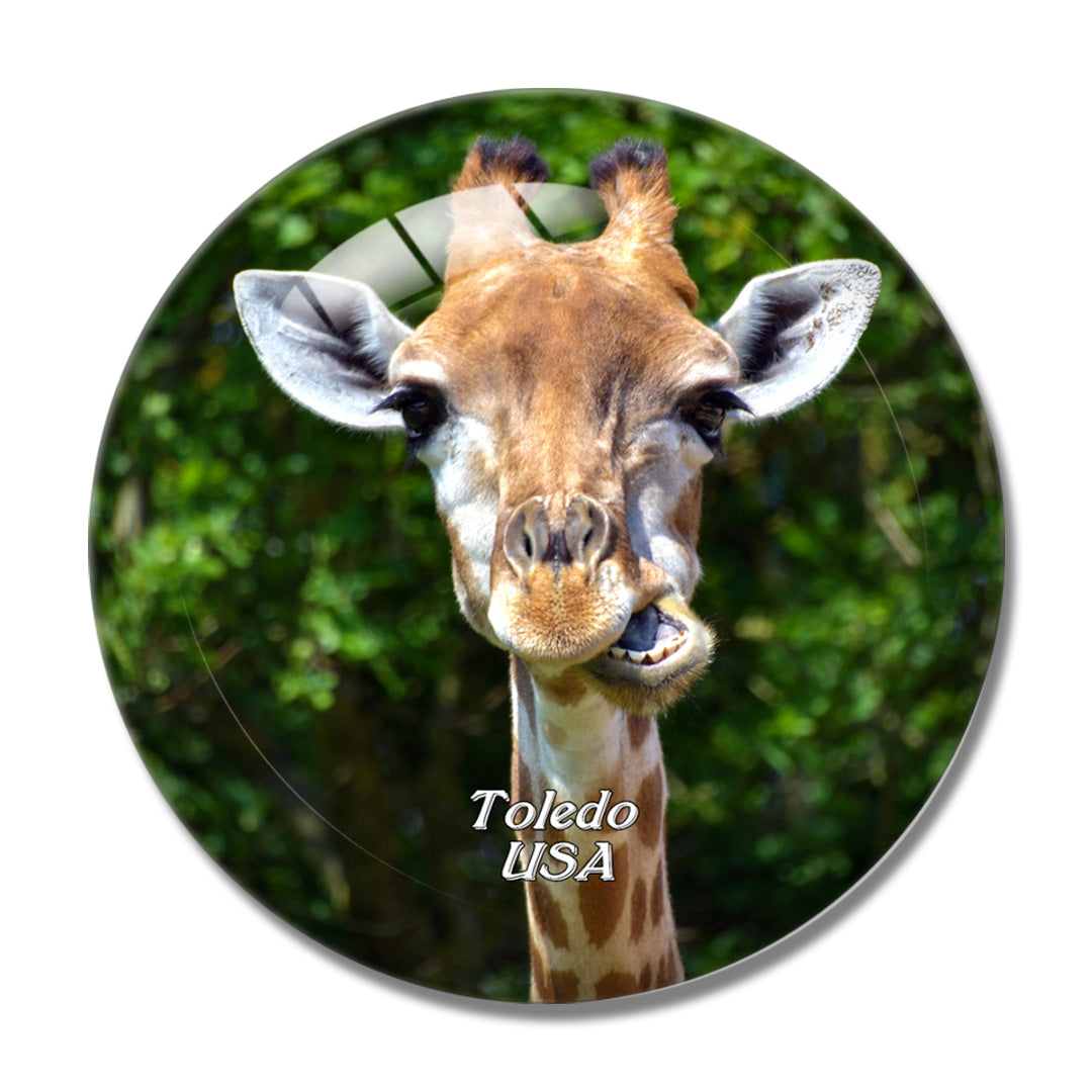USA America Toledo Zoo Giraffe 3D Fridge Magnet Crystal Glass