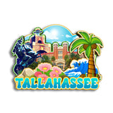 Магнит на холодильник для Таллахасси, Флорида, США 183