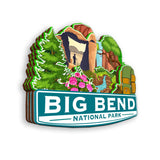 Kühlschrankmagnet für Big Bend Nationalpark Texas USA 395