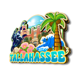 Магнит на холодильник для Таллахасси, Флорида, США 183