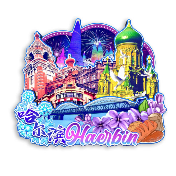 Магнит на холодильник для Харбина, Хэйлунцзян, Китай 602