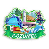 Refrigerator Magnet for Cozumel Mexico  1809