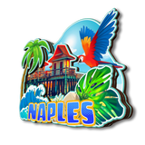 Kühlschrankmagnet für Naples Florida USA 196