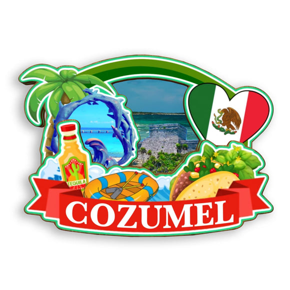 Refrigerator Magnet for Cozumel Mexico  1810
