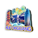 Refrigerator Magnet for Tongxiang, Zhejiang, China  474