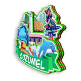 Refrigerator Magnet for Cozumel Mexico  1809