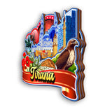 Refrigerator Magnet for Tirana Albania  2453