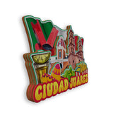 Refrigerator Magnet for Giudad Juarez Mexico  1820