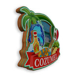 Refrigerator Magnet for Cozumel Mexico  1810