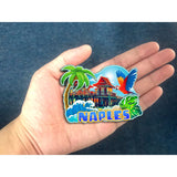 Kühlschrankmagnet für Naples Florida USA 196