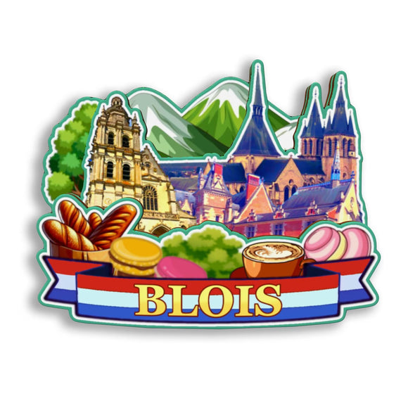 Refrigerator Magnet for Blois France  2620