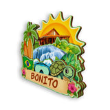 Refrigerator Magnet for Bonito Brazil  1933