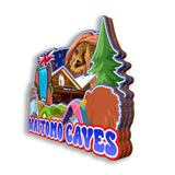 Refrigerator Magnet for Waitomo Caves New Zealand  2761