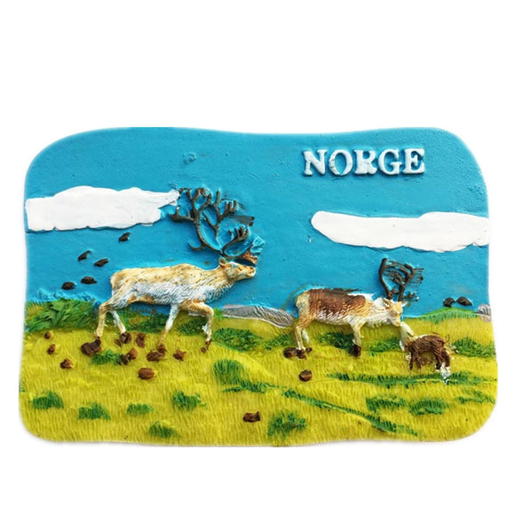 Norway Fridge Magnet 3D Resin