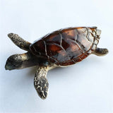 Turtle Maldives Fridge Magnet 3D Resin