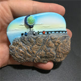 Noway Fridge Magnet 3D Resin