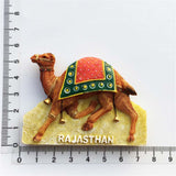 Rajasthan India Fridge Magnet 3D Resin