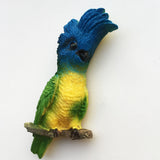 Macaw Ecuador Bolivia Argentina Fridge Magnet 3D Resin