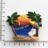 Hawaii USA America Fridge Magnet 3D Resin