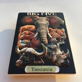 Tanzania Animals Fridge Magnet 3D Resin