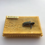 Bahamas Beach Fridge Magnet 3D Resin