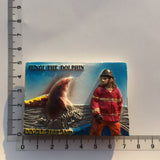 Dingle Ireland Fridge Magnet 3D Resin