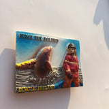 Dingle Ireland Fridge Magnet 3D Resin