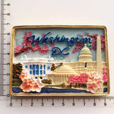 Washington D.C. USA America Fridge Magnet 3D Resin