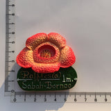 Sabah Borneo Malaysia Fridge Magnet 3D Resin