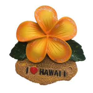 Hawaii USA America Fridge Magnet 3D Resin