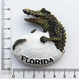 Florida USA America Fridge Magnet 3D Resin