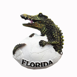 Florida USA America Fridge Magnet 3D Resin