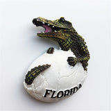 Florida USA America Fridge Magnet 3D Resin