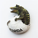 Florida USA America Fridge Magnet 3D Resin