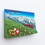 Jungfraujoch Switzerland Fridge Magnet 3D Resin