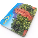 Shenzhen China Fridge Magnet 3D Resin