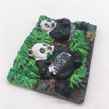 Chengdu Panda China Fridge Magnet 3D Resin