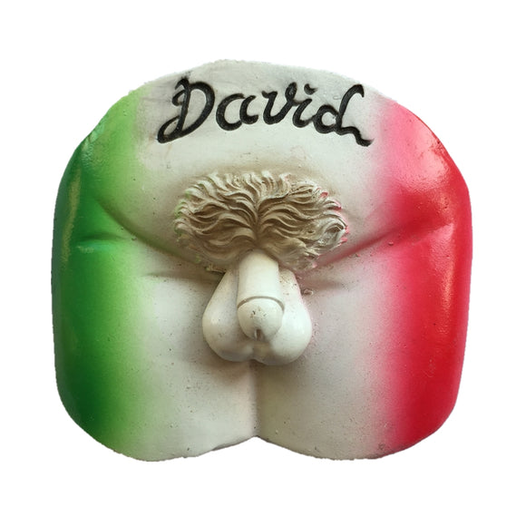 David Florence Italy Fridge Magnet 3D Resin