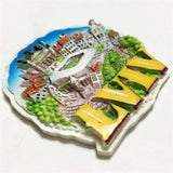 Lviv Ukraine Fridge Magnet 3D Resin