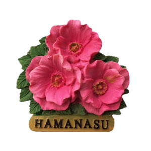 Hamanasu Japan Fridge Magnet 3D Resin