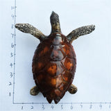 Turtle Maldives Fridge Magnet 3D Resin