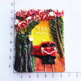 Mount Ali Taiwan China Fridge Magnet 3D Resin