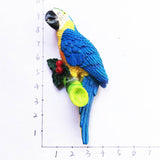 Macaw Brazil Fridge Magnet 3D Resin