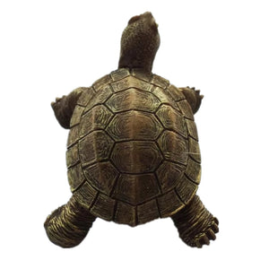 Tortoise Ecuador Fridge Magnet 3D Resin