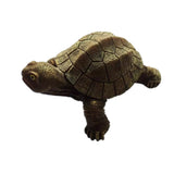 Tortoise Ecuador Fridge Magnet 3D Resin