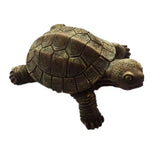 Tortoise Ecuador Fridge Magnet 3D Resin