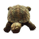 Tortoise Ecuador Fridge Magnet 3D Resin