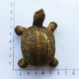 Tortoise Ecuador Fridge Magnet 3D Resin