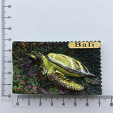 Turtle Bali Indonesia Fridge Magnet 3D Resin