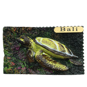 Turtle Bali Indonesia Fridge Magnet 3D Resin